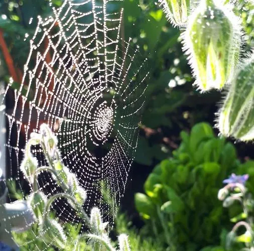 Bel-etage * Liebshausen